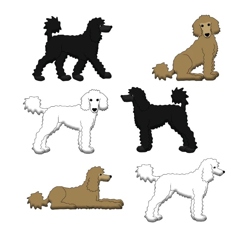 Sélection de caniche