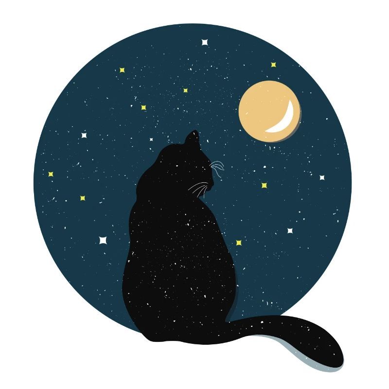 Chat noir devant la lune.