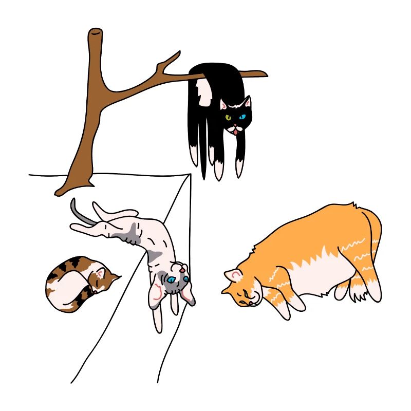 Dalí's cats