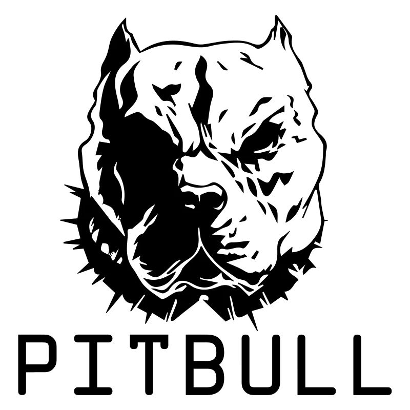 pitbull dog