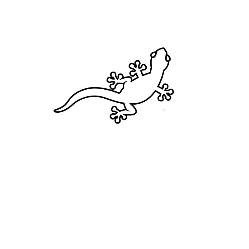 lizard