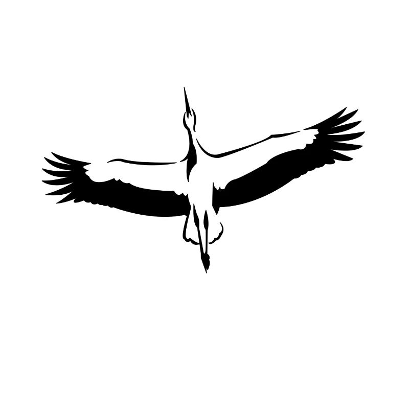 Storch