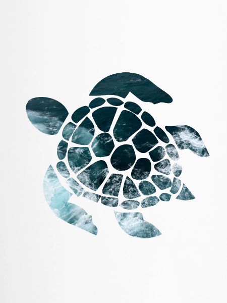 Schildkröte