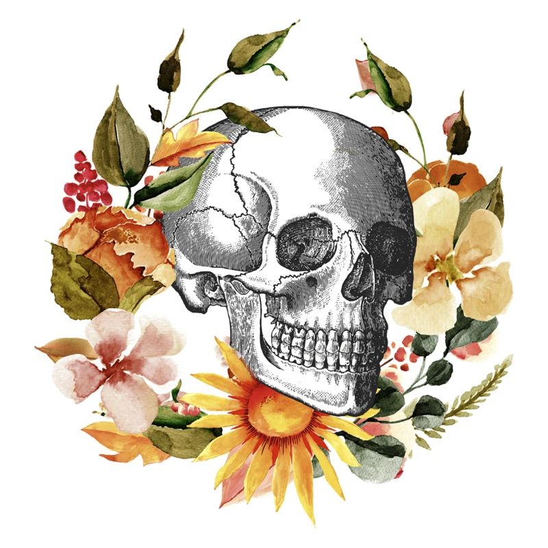 skull