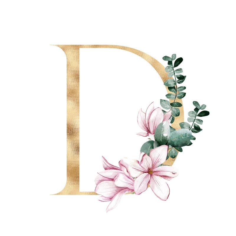 Alphabet D