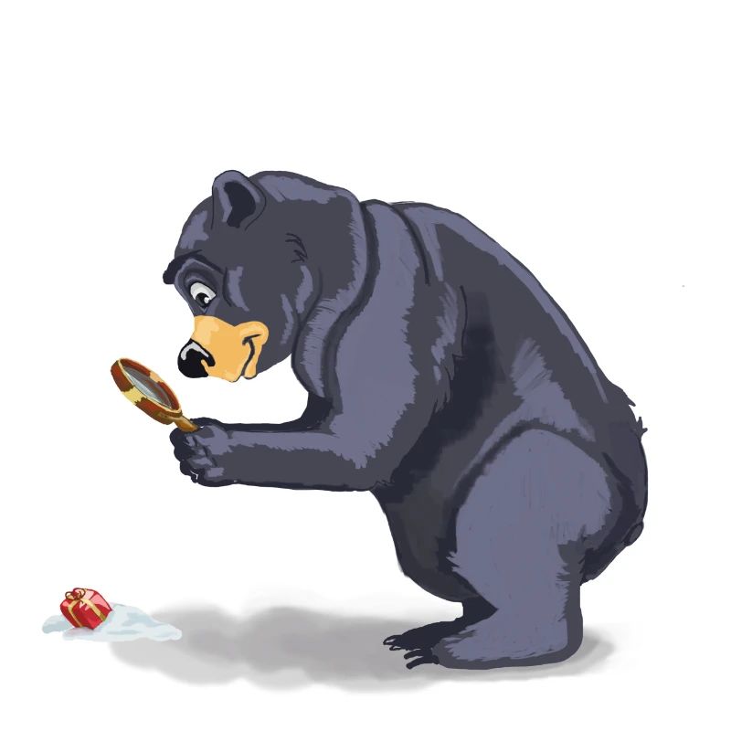bear