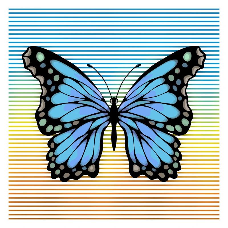 Papillon