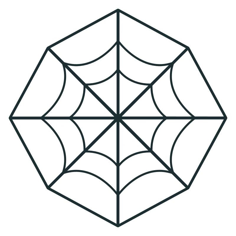 irregular spider web