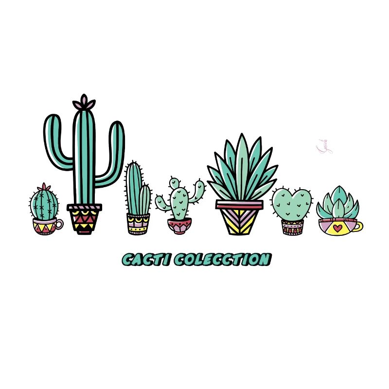 Cactus Collection.