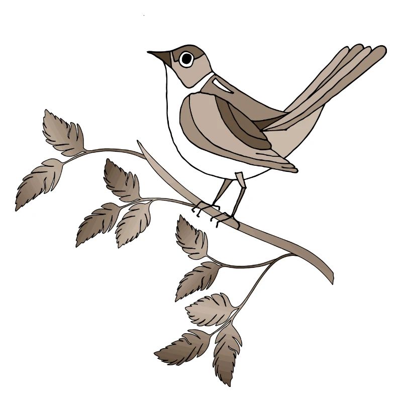Vogel