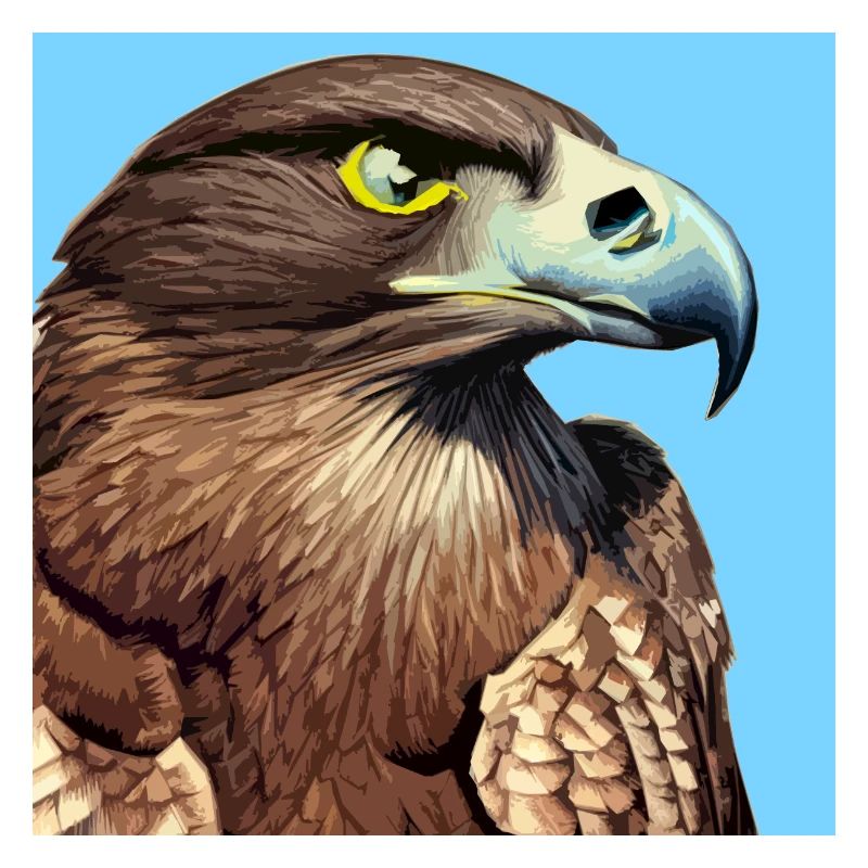 Eagle head illustration