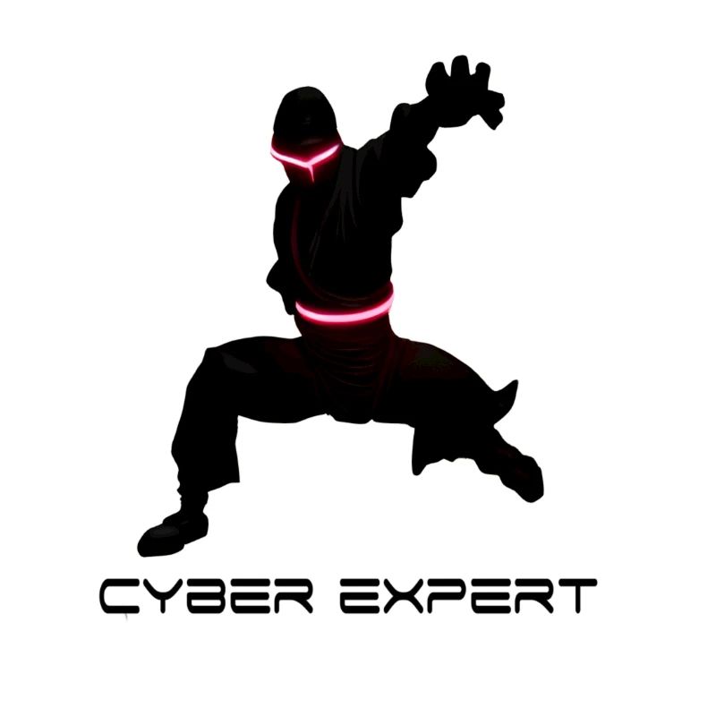 Cyber-Ninja-Kampfkunst