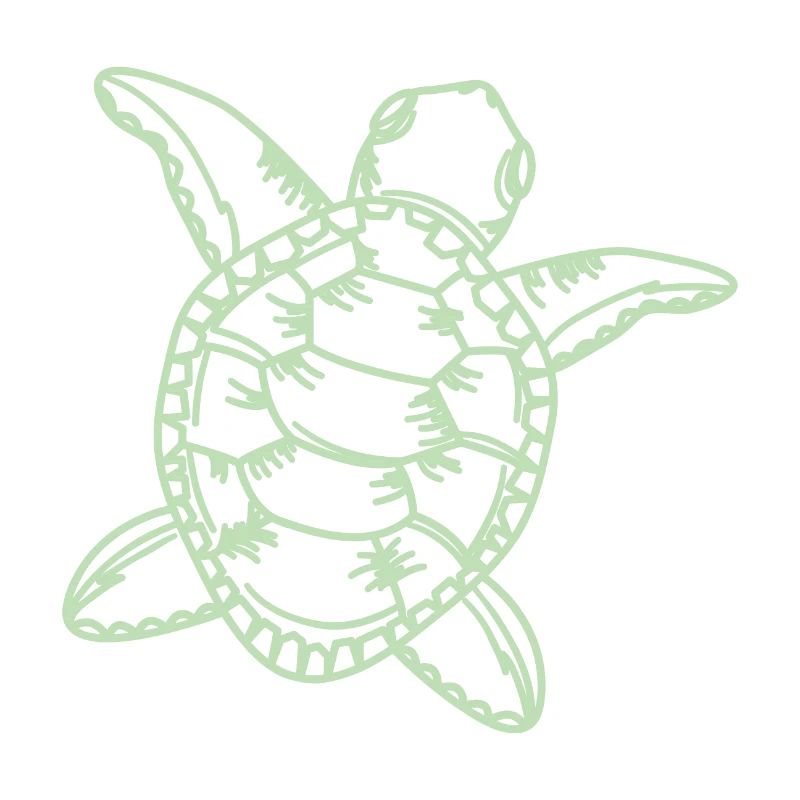Schildkröte