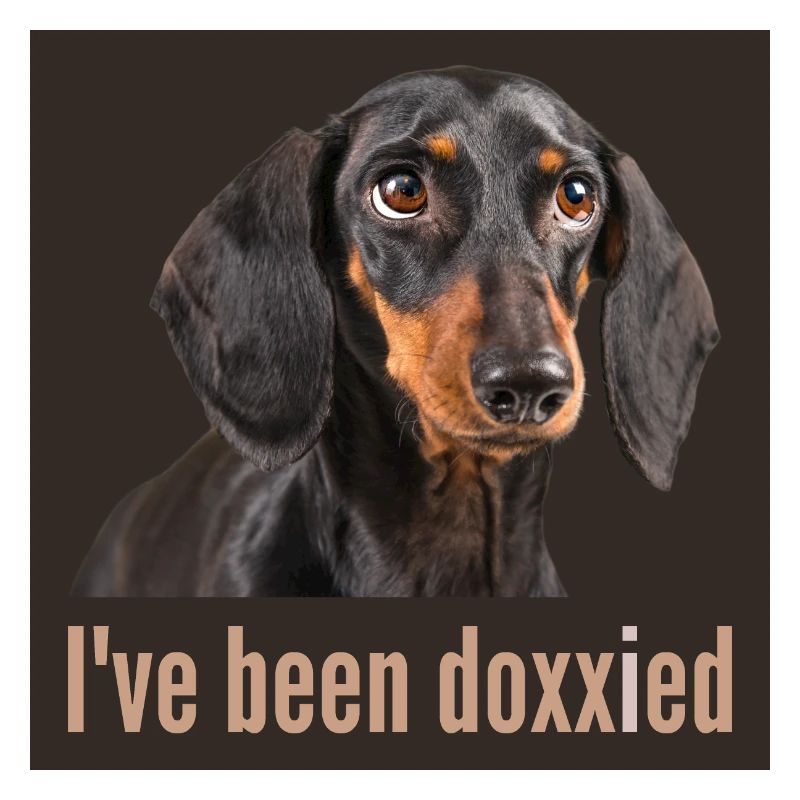 Been Doxxied PBLBBDG