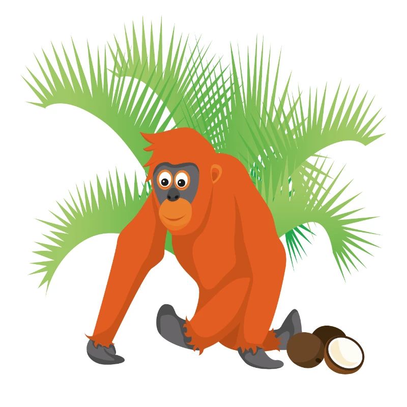 Orangutan