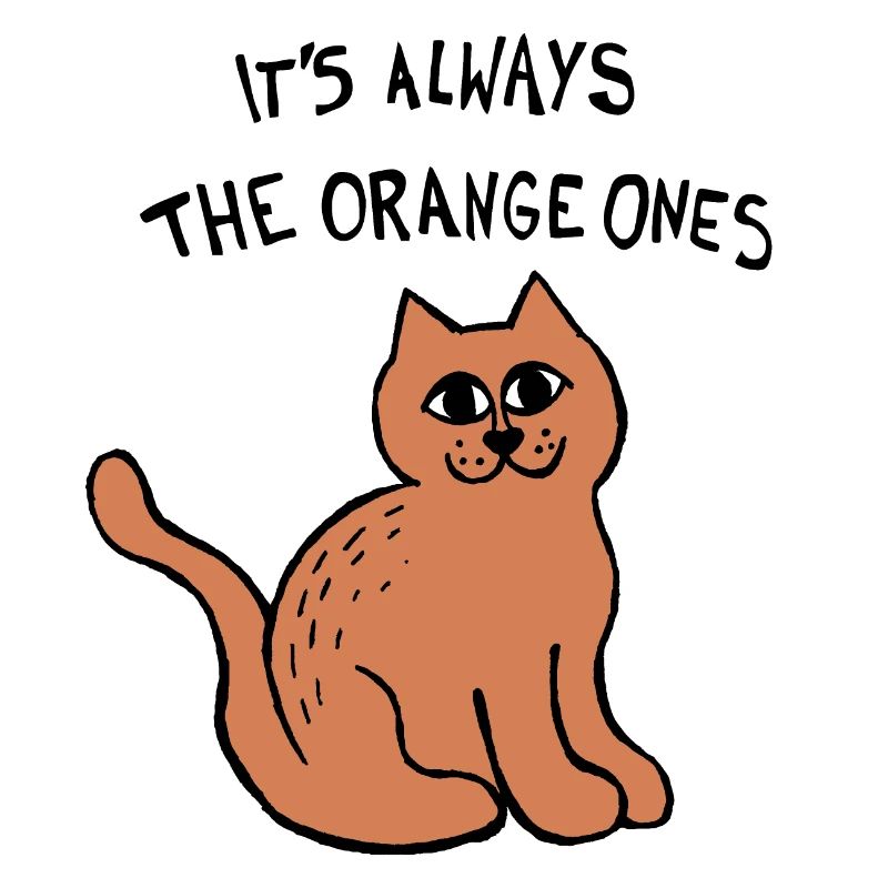 Es sind immer die orangefarbenen Meme-Katze