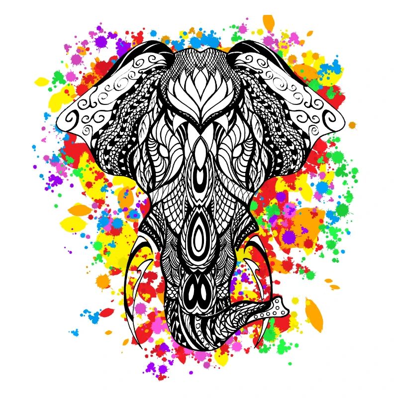 Elephant rainbow
