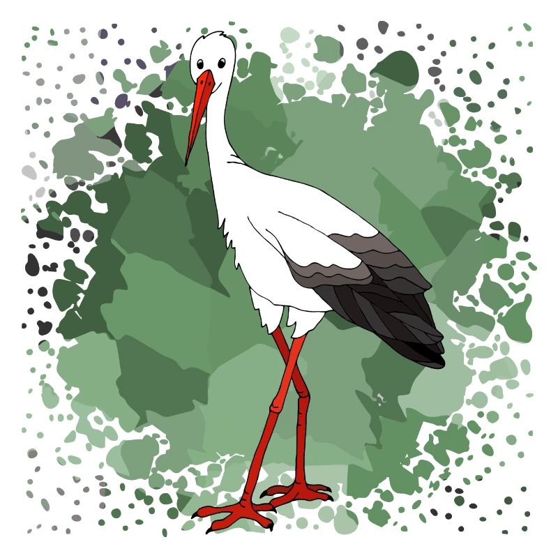 Stork