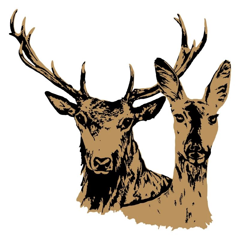 Cerfs et biche