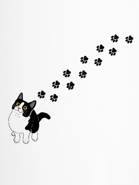 Katzenpfoten
