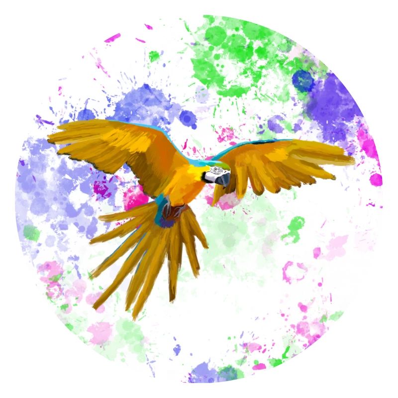 Macaw flight before paint splashes
