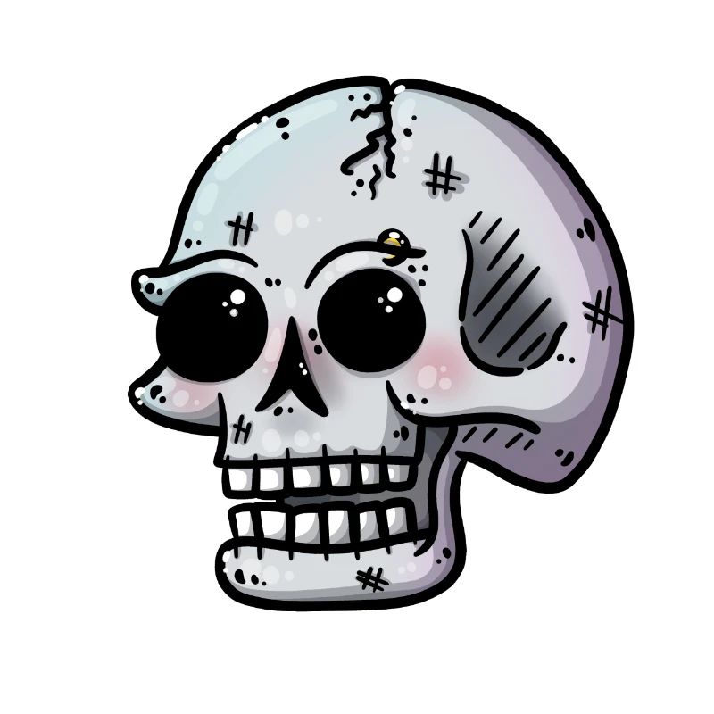 Schädel
