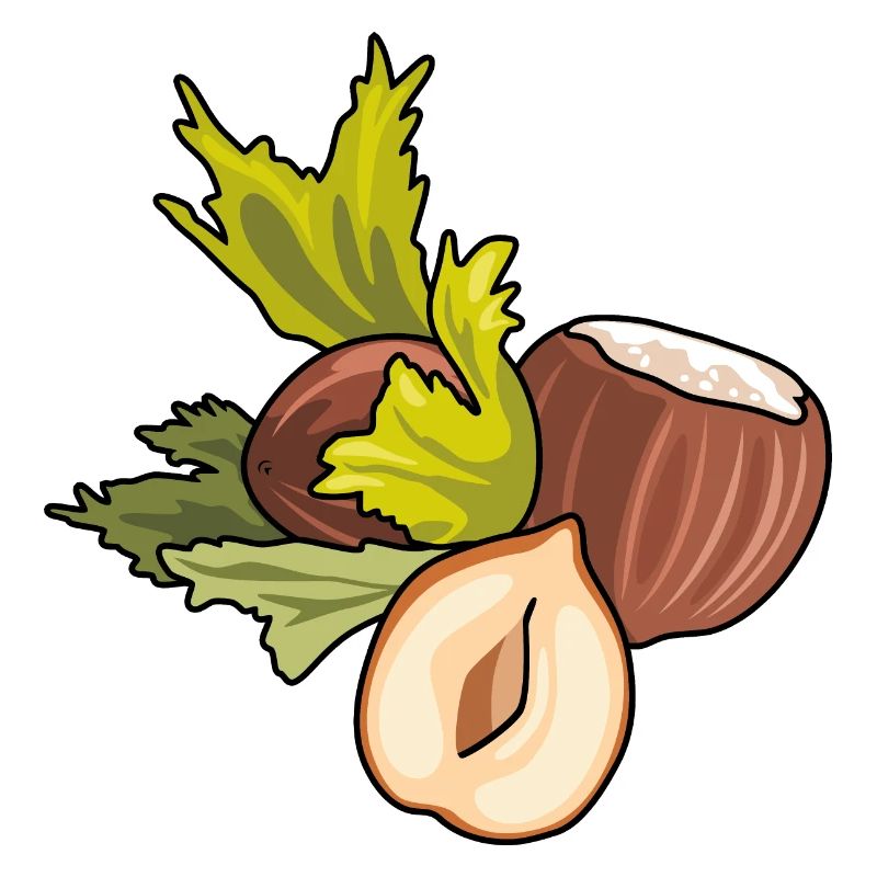 Hazelnut