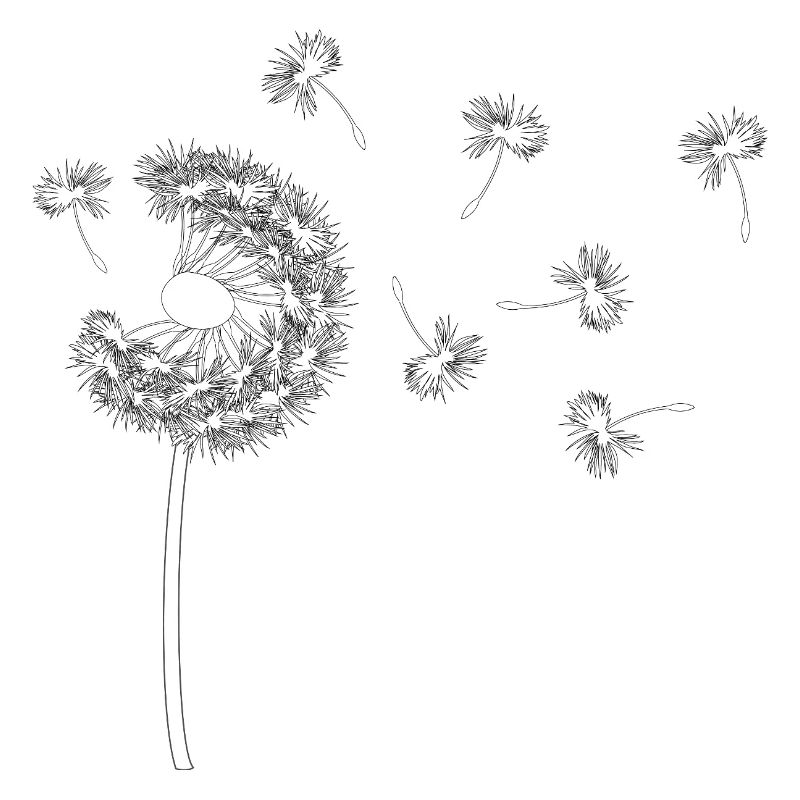 Pusteblume