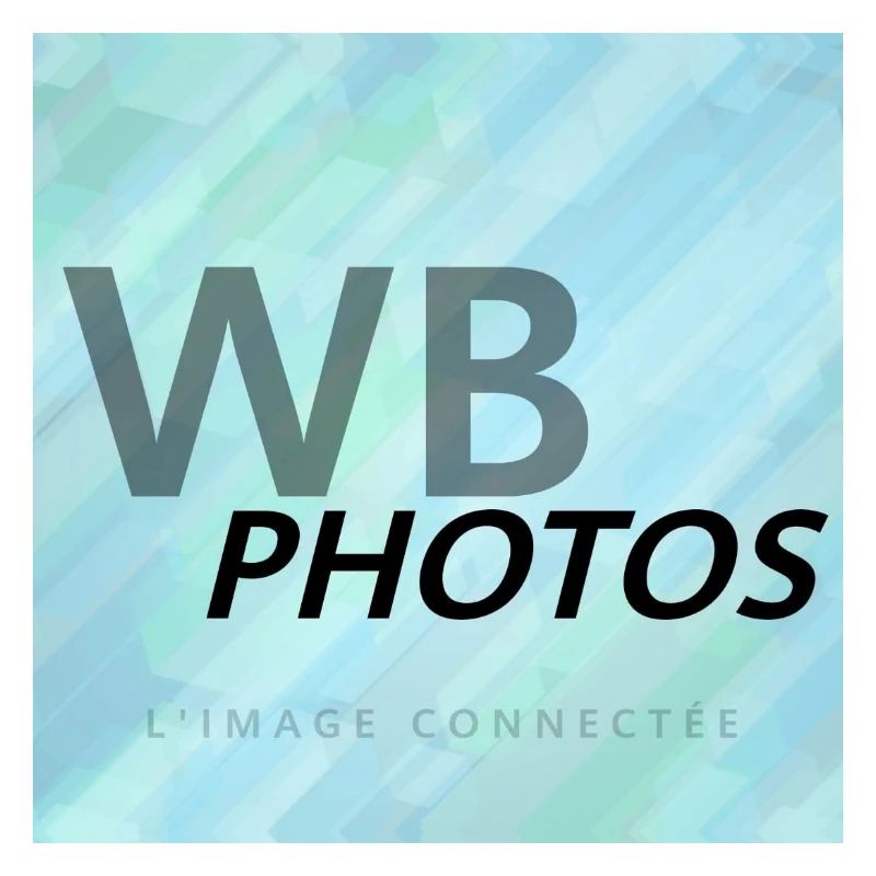 LOGO WBP BLEU CLAIR