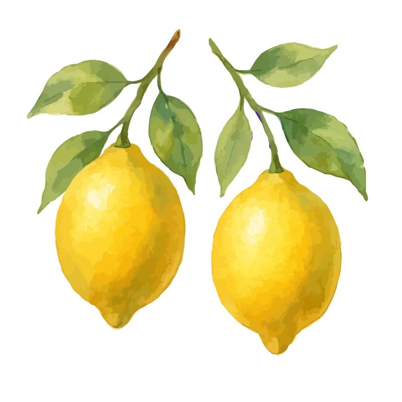 lemons