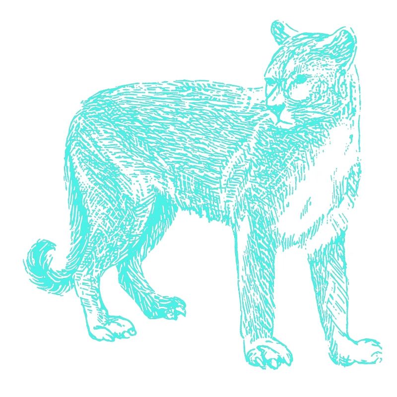 Panther