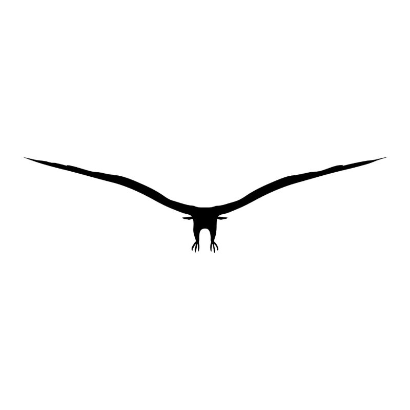 Vogel
