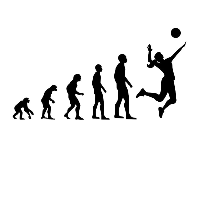 Evolution Volleyball