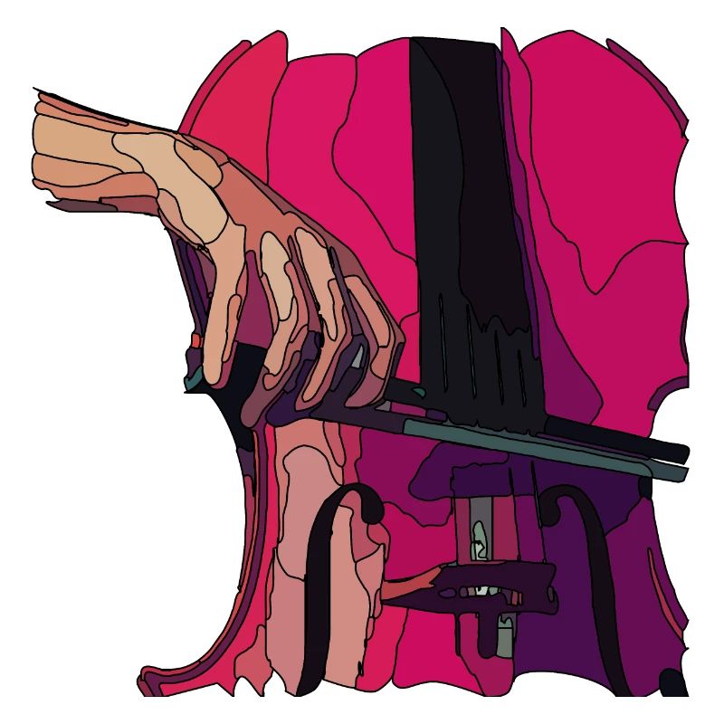 cello3