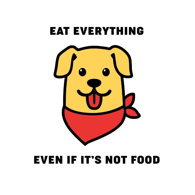 Hund essen alles 9ea87b30 d6f0 11e8 b92a df25f36