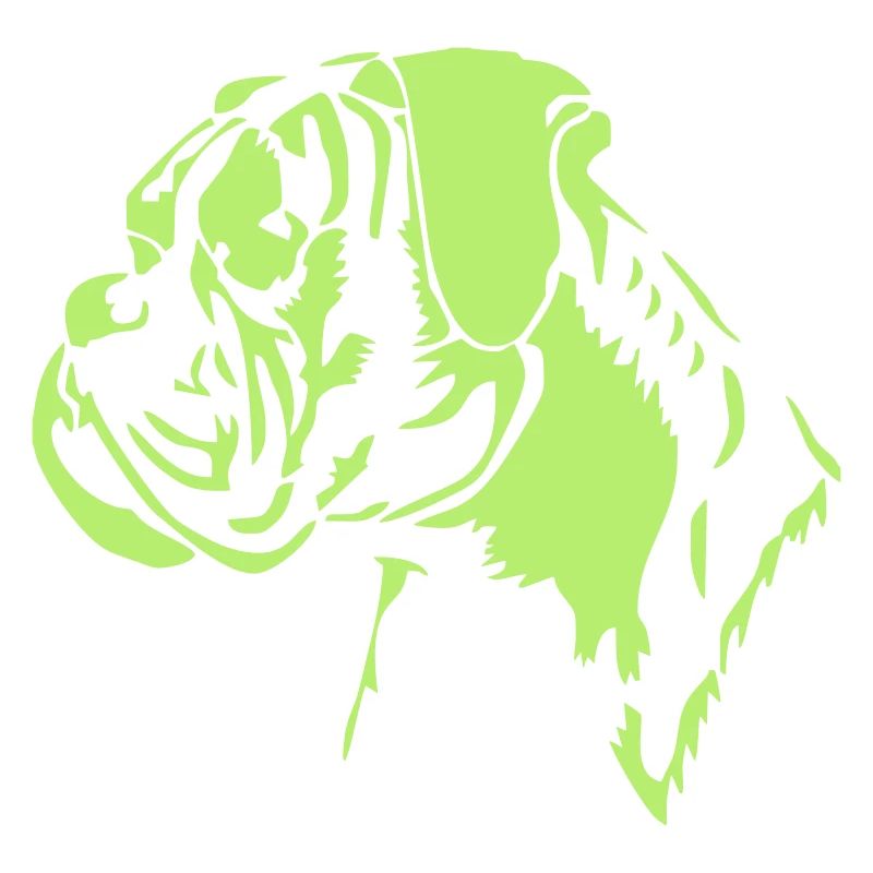 Boxer Kopf