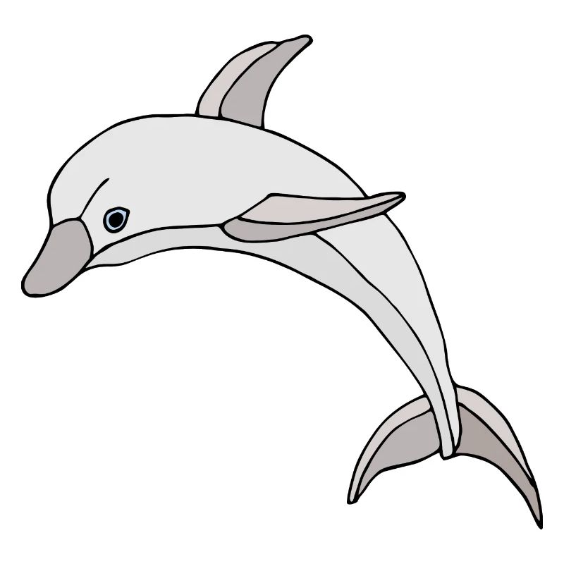 Delphin