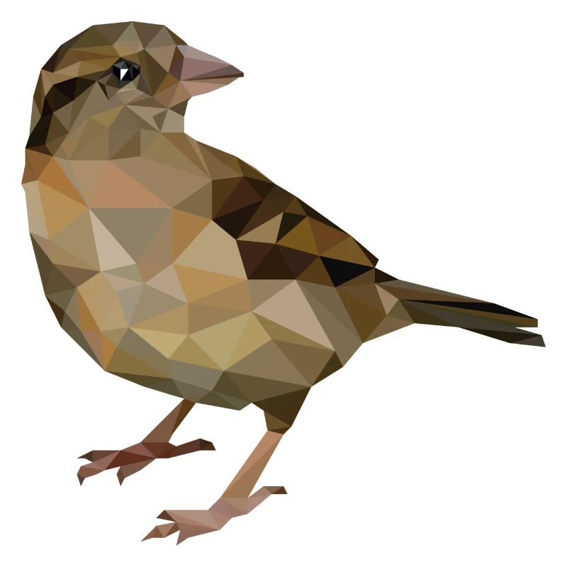 Spatz