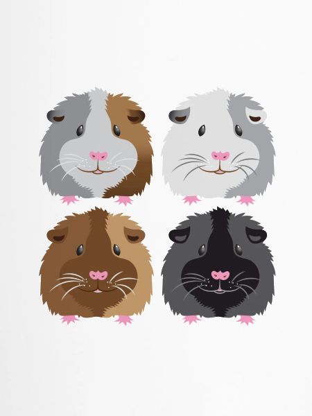 vier Meerschweinchen!