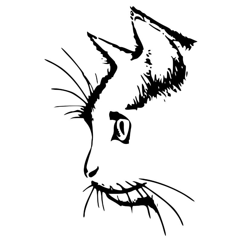 Katzenkopf 3- Katzengesicht