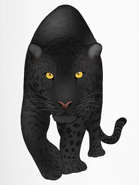 Midnight Panther, Raubkatze