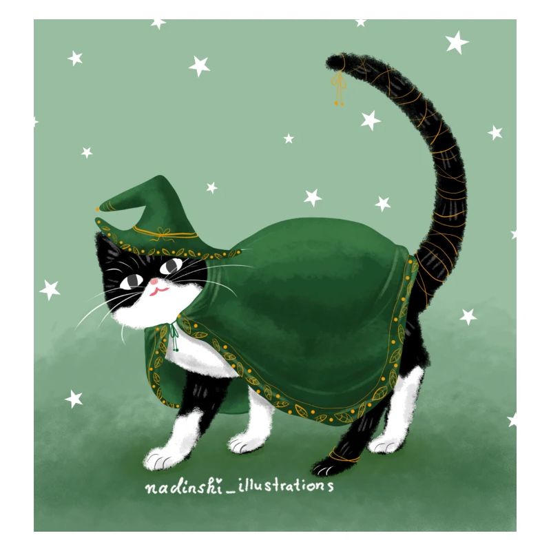 Cat Wizard