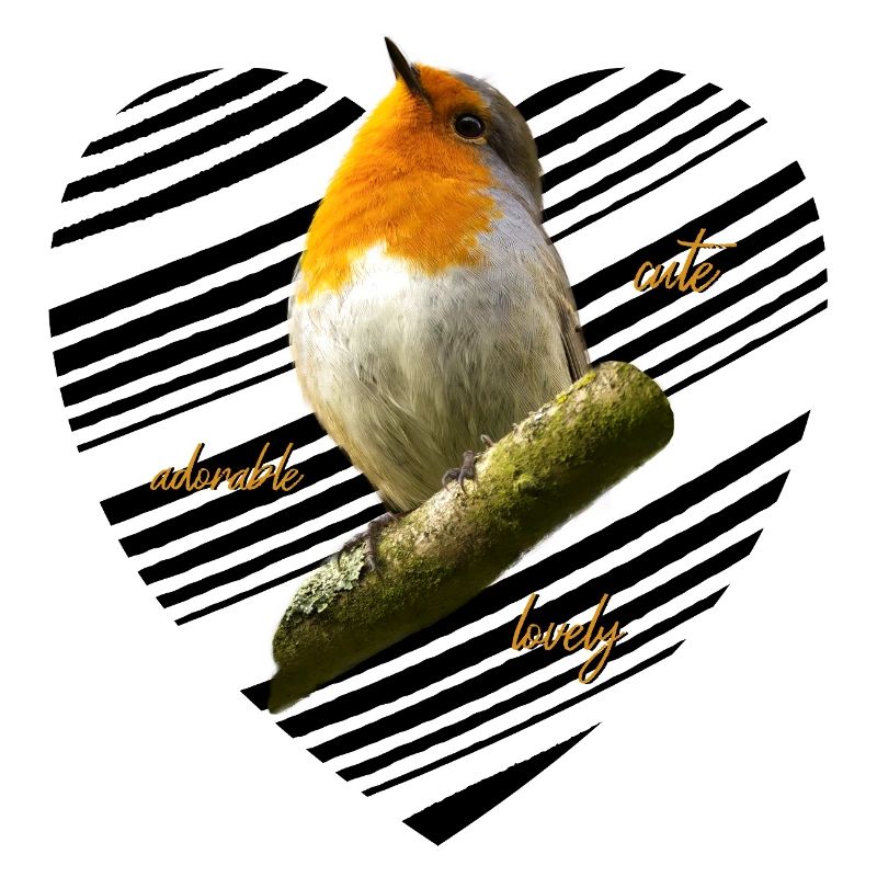 Rotkehlchen Singvogel