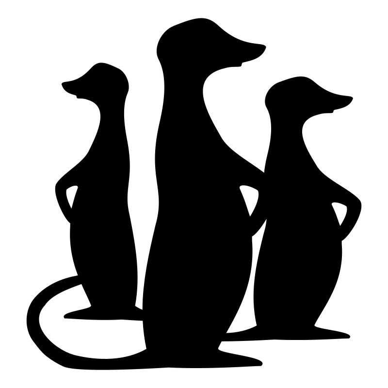 erdmännchen
