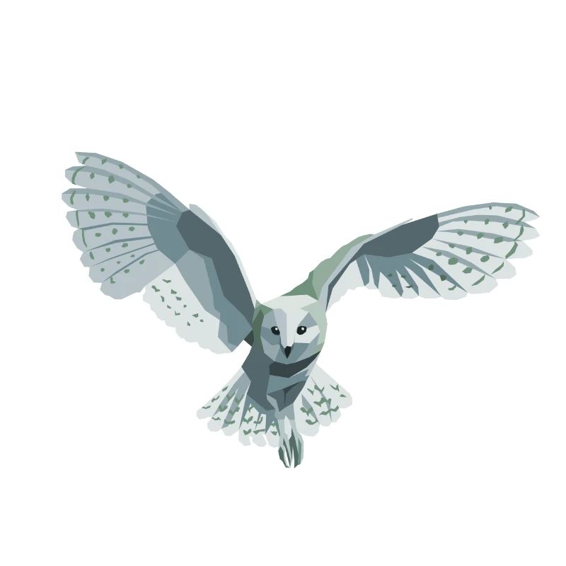 barn owl