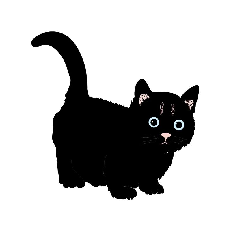 Cat black