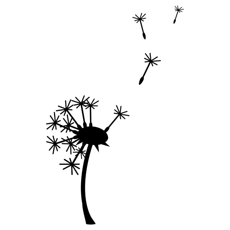pusteblume