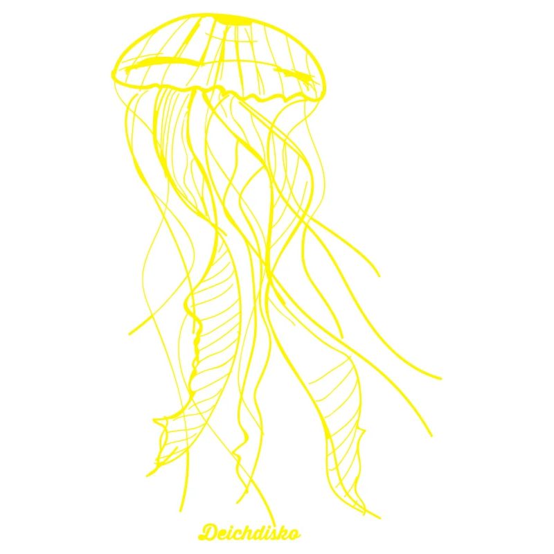 Jellyfish