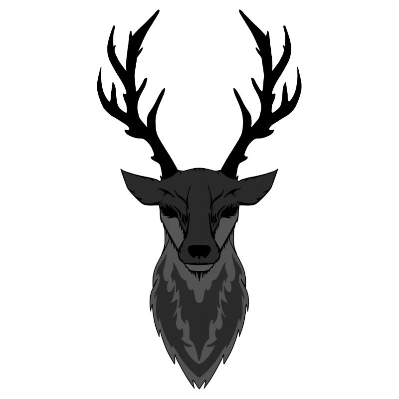 hirsch