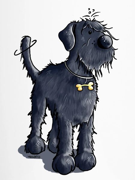 Niedlicher Schnauzer